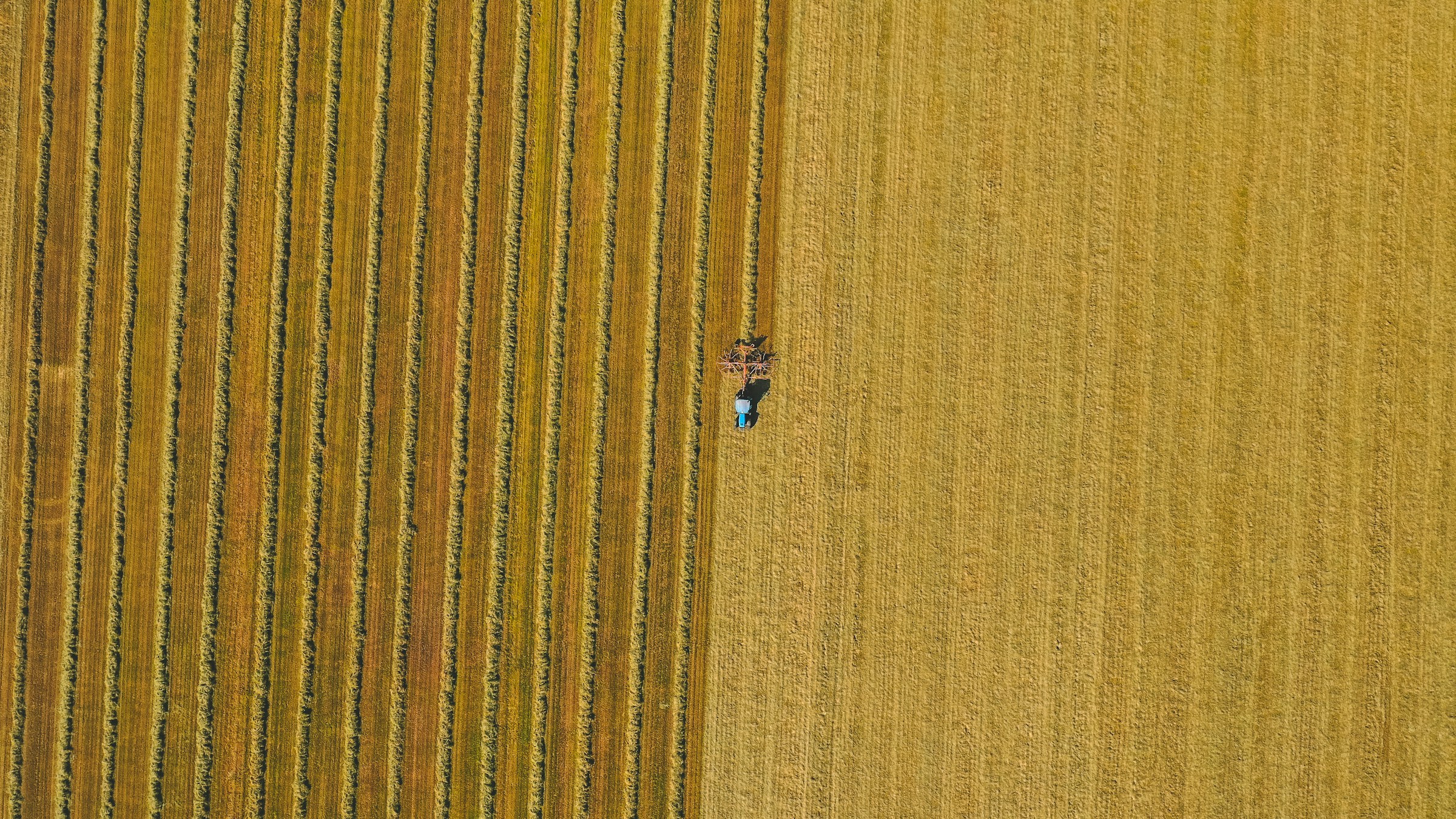 Aerial view of an agricultural field under active management