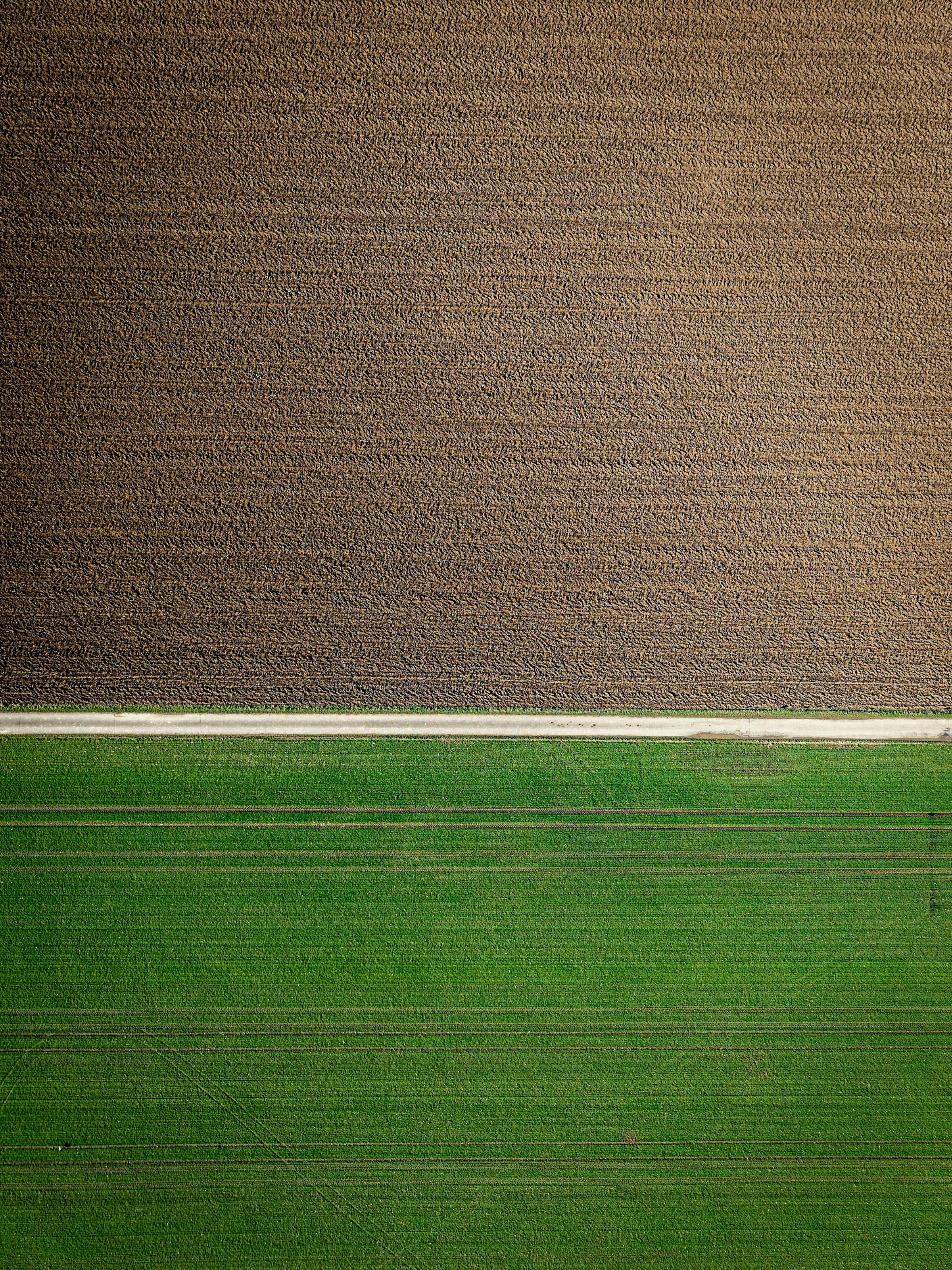 Aerial view showing contrasting cultivated and uncultivated fields