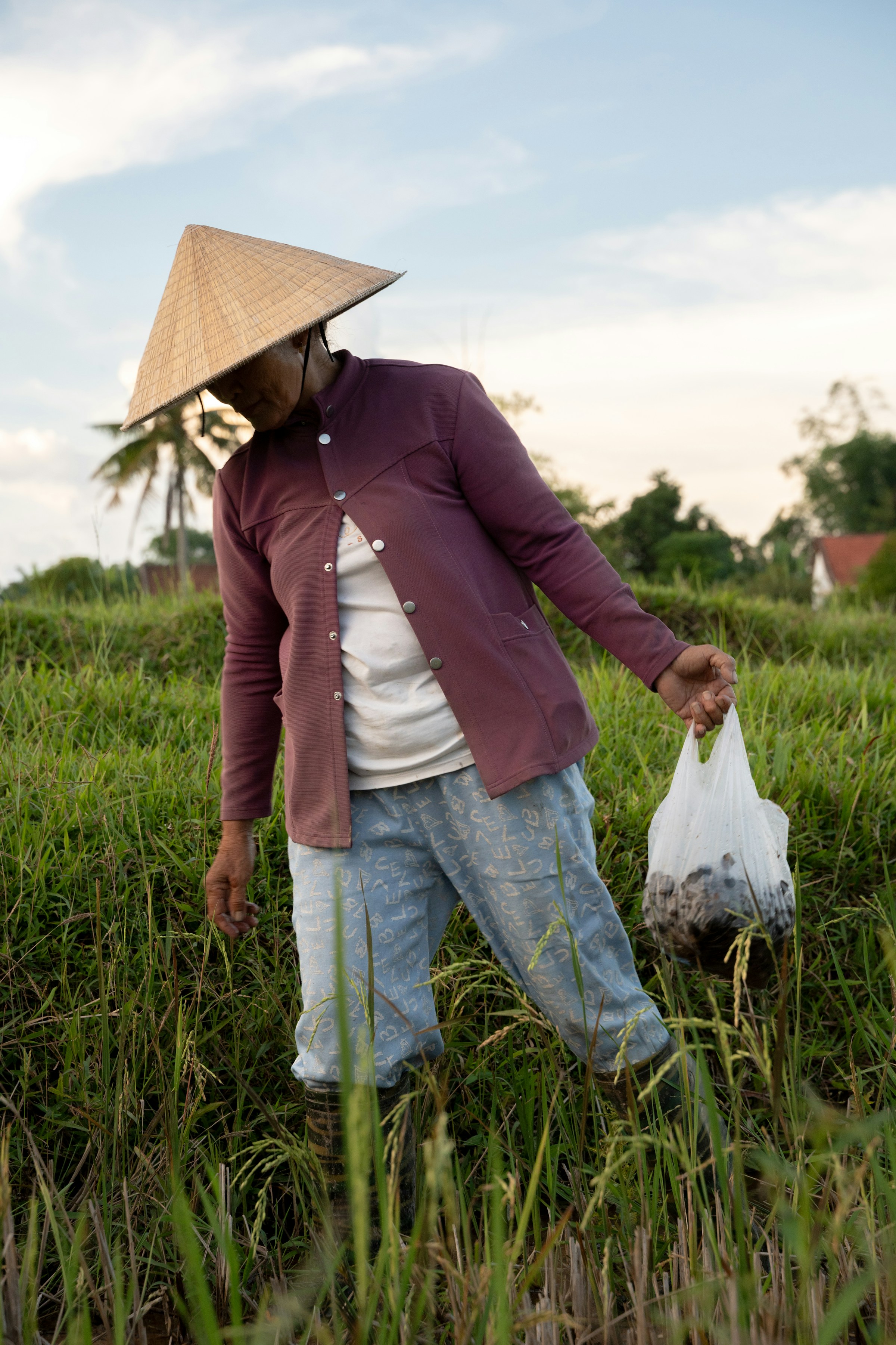 Farmer working in a rice field in Vietnam