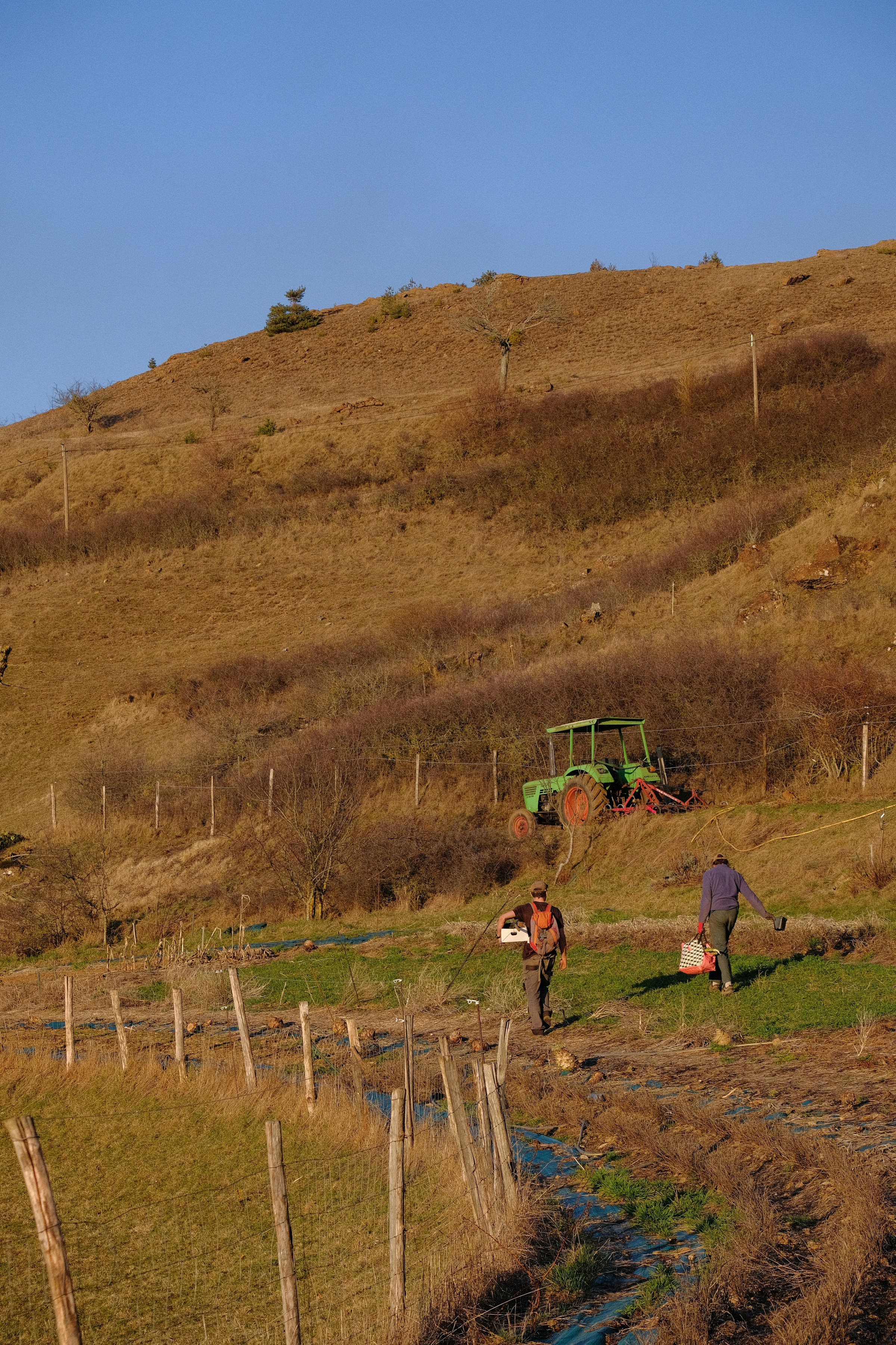 Illustrative commercial field operation