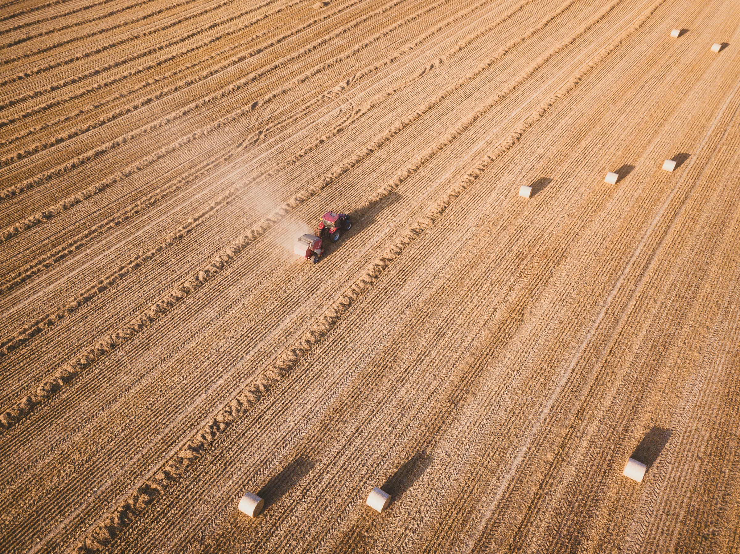 Harvested agricultural material collected in a field