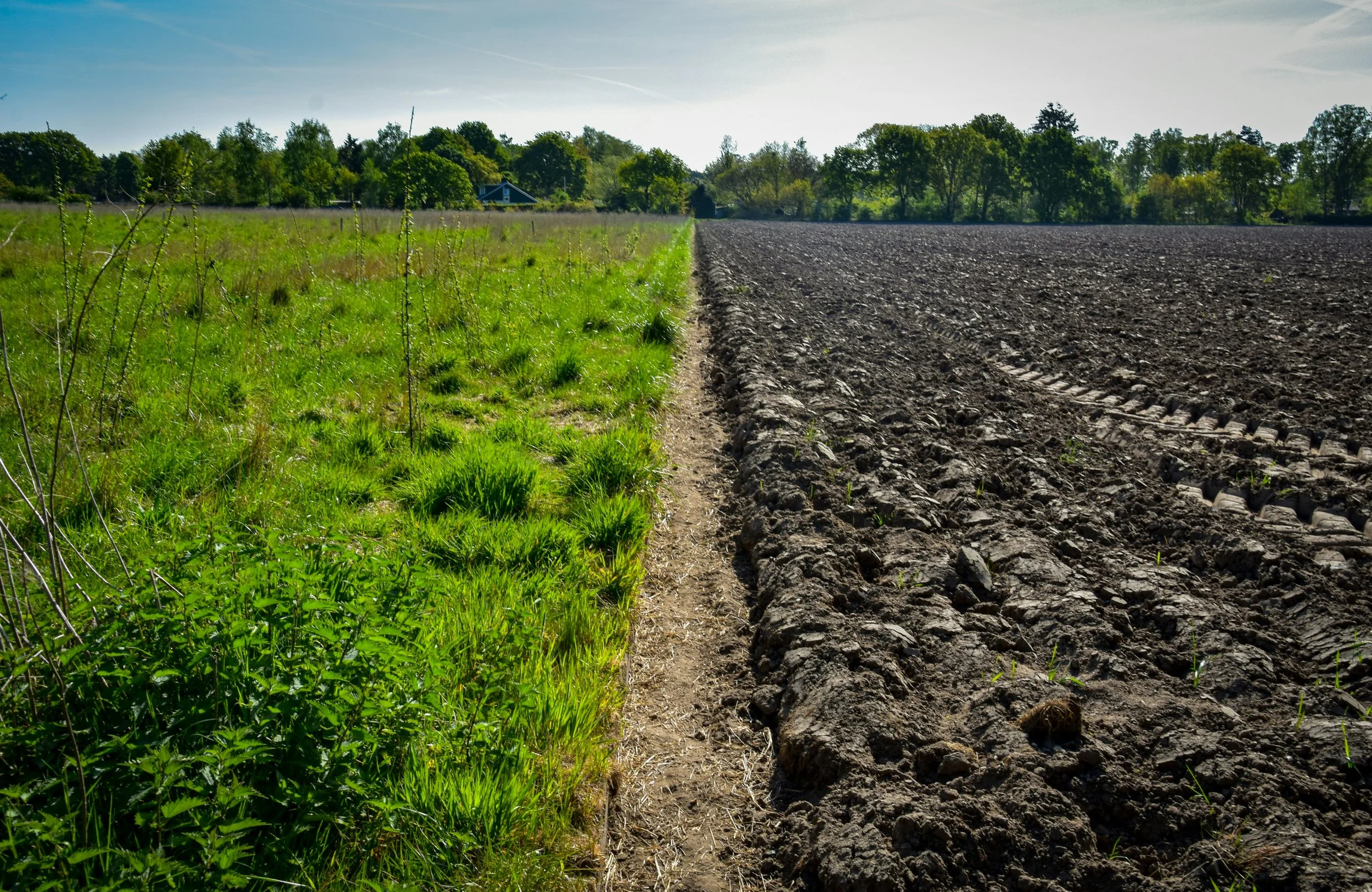 Regenerative vs conventional field comparison